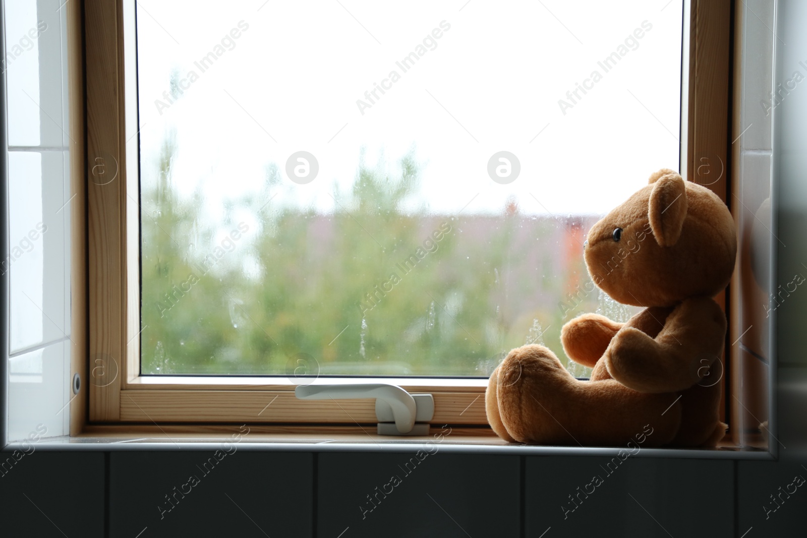 Photo of Lonely teddy bear near window on rainy day. Space for text