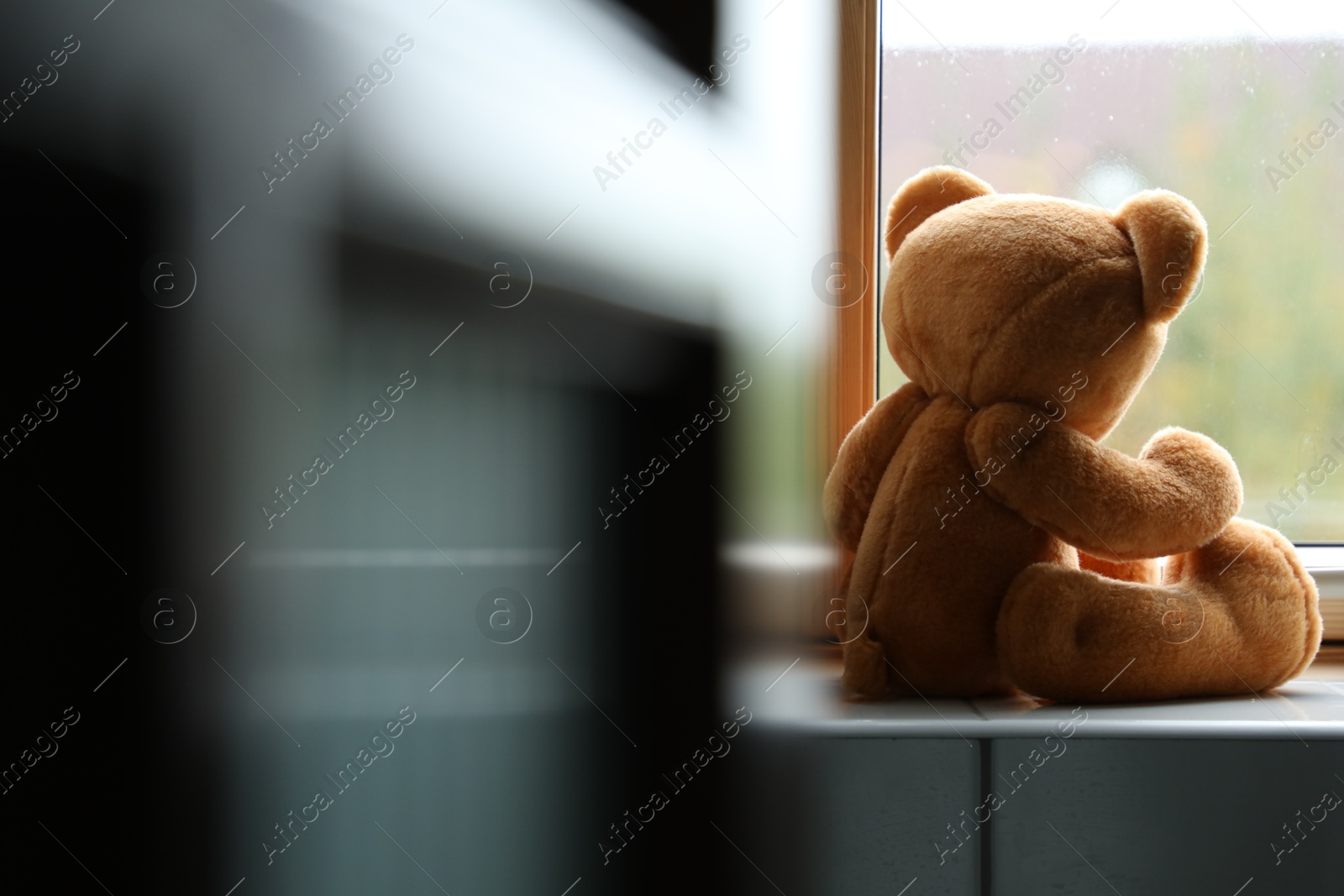 Photo of Lonely teddy bear near window. Space for text