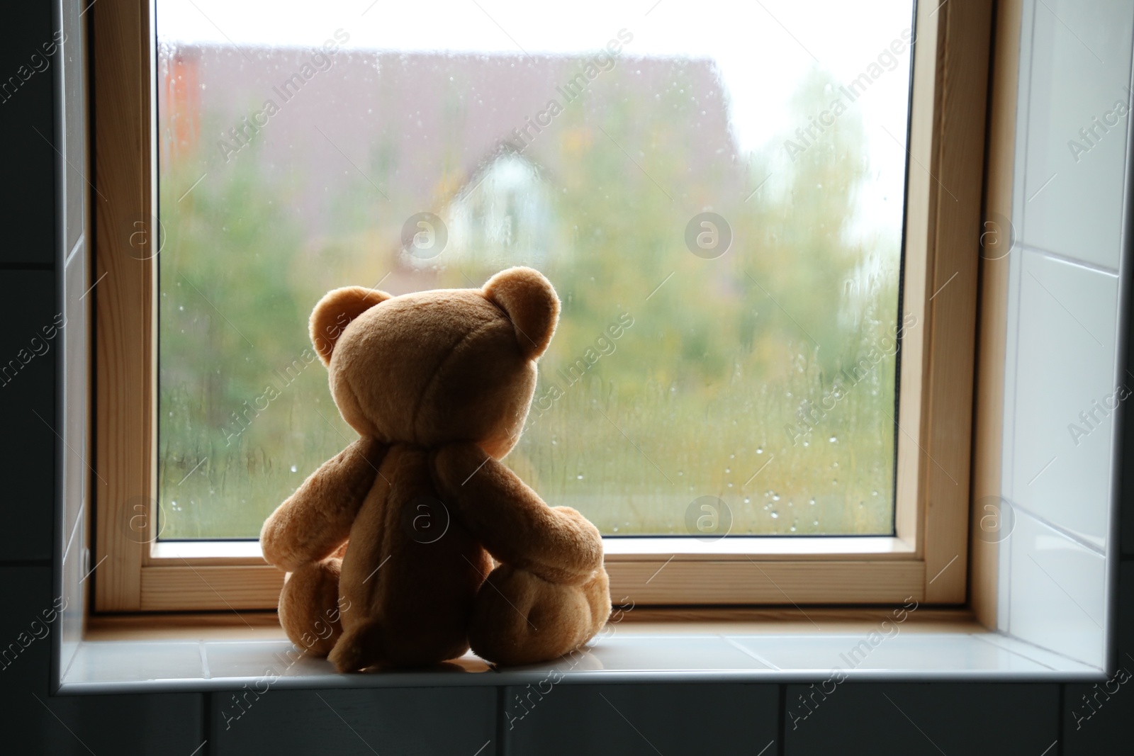 Photo of Lonely teddy bear near window on rainy day. Space for text