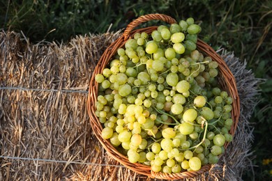 Photo of Ripe grapes in wicker basket outdoors, top view