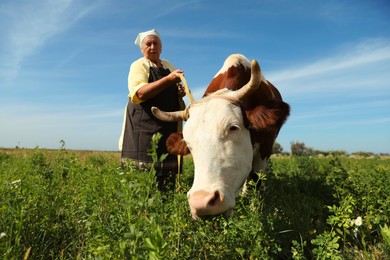 Photo of Senior woman with beautiful cow on pasture, selective focus