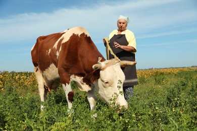 Photo of Senior woman with beautiful cow on pasture