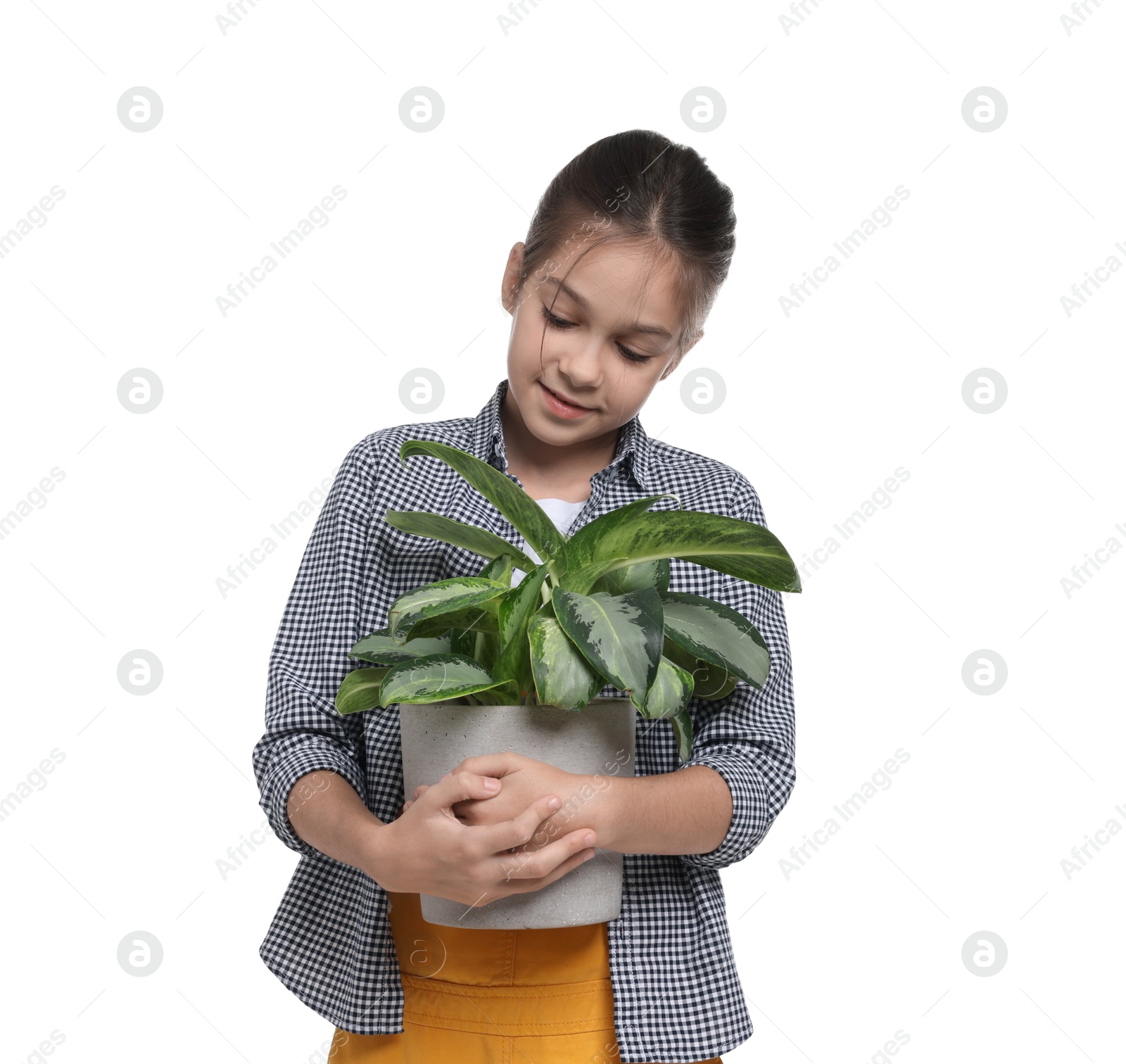 Photo of Girl with potted plant pretending to be gardener on white background. Dreaming of future profession