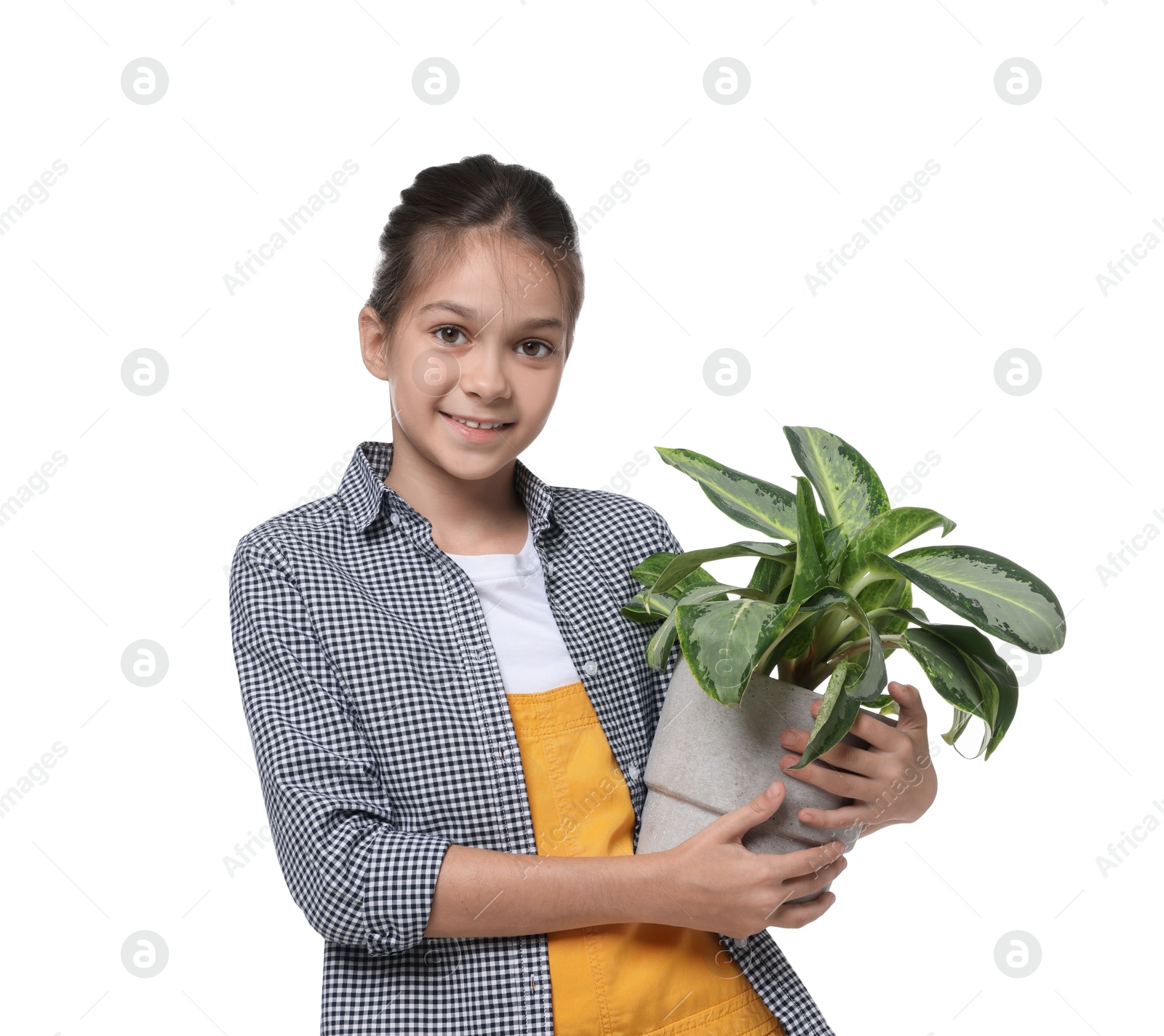 Photo of Girl with potted plant pretending to be gardener on white background. Dreaming of future profession