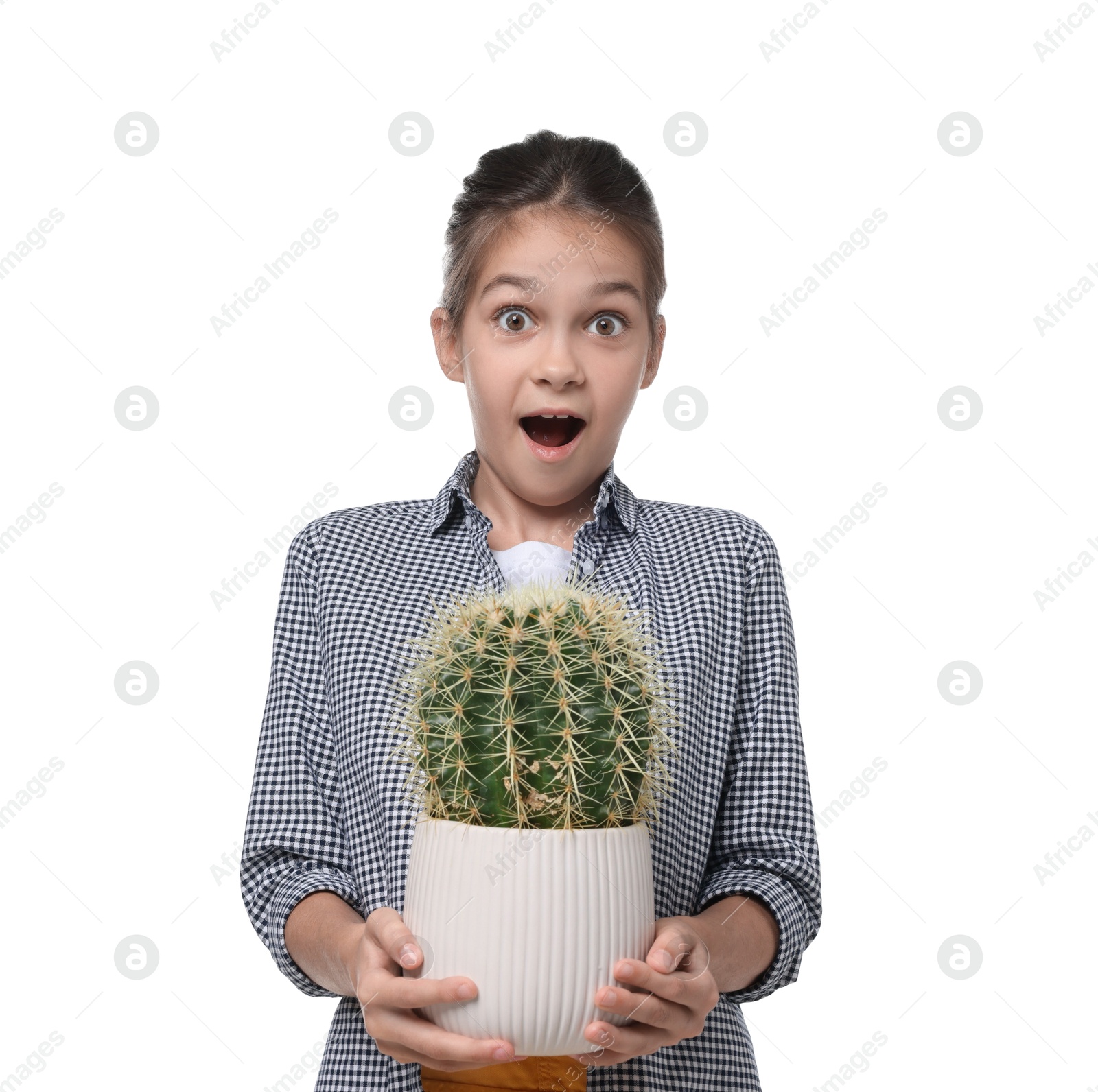 Photo of Emotional girl with potted cactus pretending to be gardener on white background. Dreaming of future profession