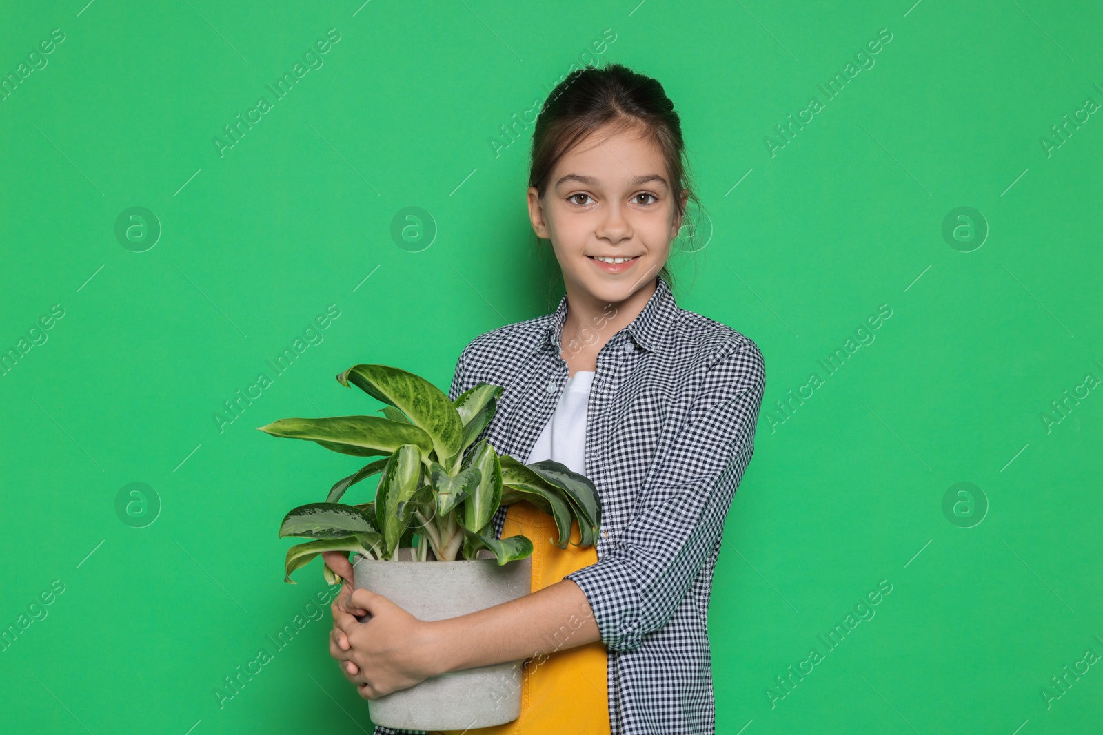 Photo of Girl with potted plant pretending to be gardener on green background. Dreaming of future profession