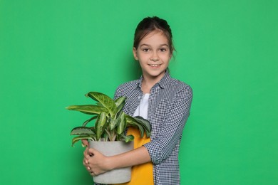 Photo of Girl with potted plant pretending to be gardener on green background. Dreaming of future profession