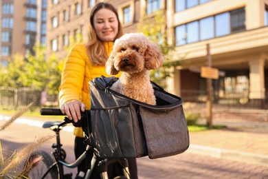 Photo of Woman with bicycle and cute Toy Poodle dog in pet carrier outdoors on sunny day, selective focus