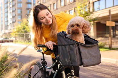 Photo of Woman with bicycle and cute Toy Poodle dog in pet carrier outdoors on sunny day