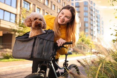 Photo of Woman with bicycle and cute Toy Poodle dog in pet carrier outdoors on sunny day