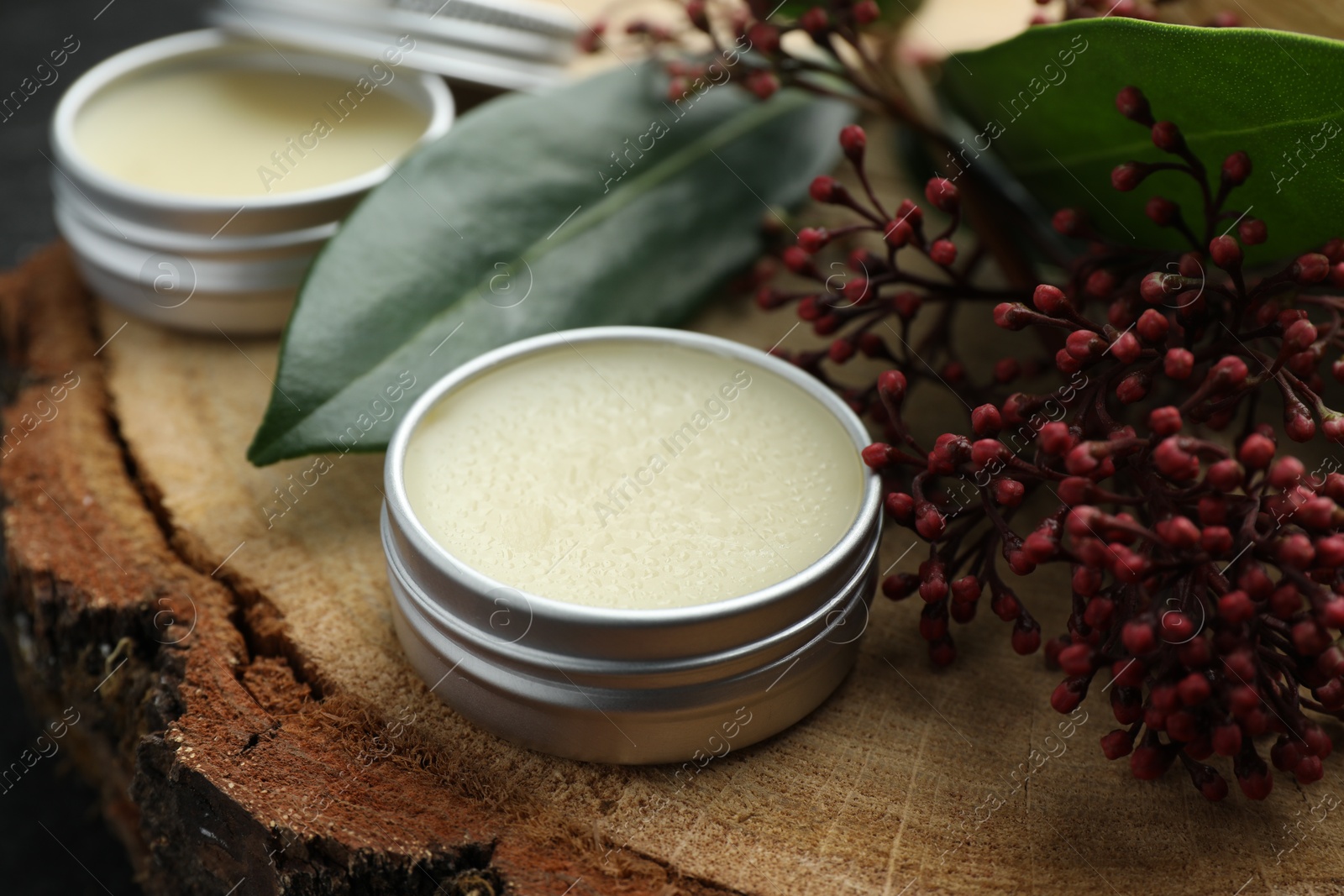 Photo of Natural solid perfume and skimmia plant on wood, closeup