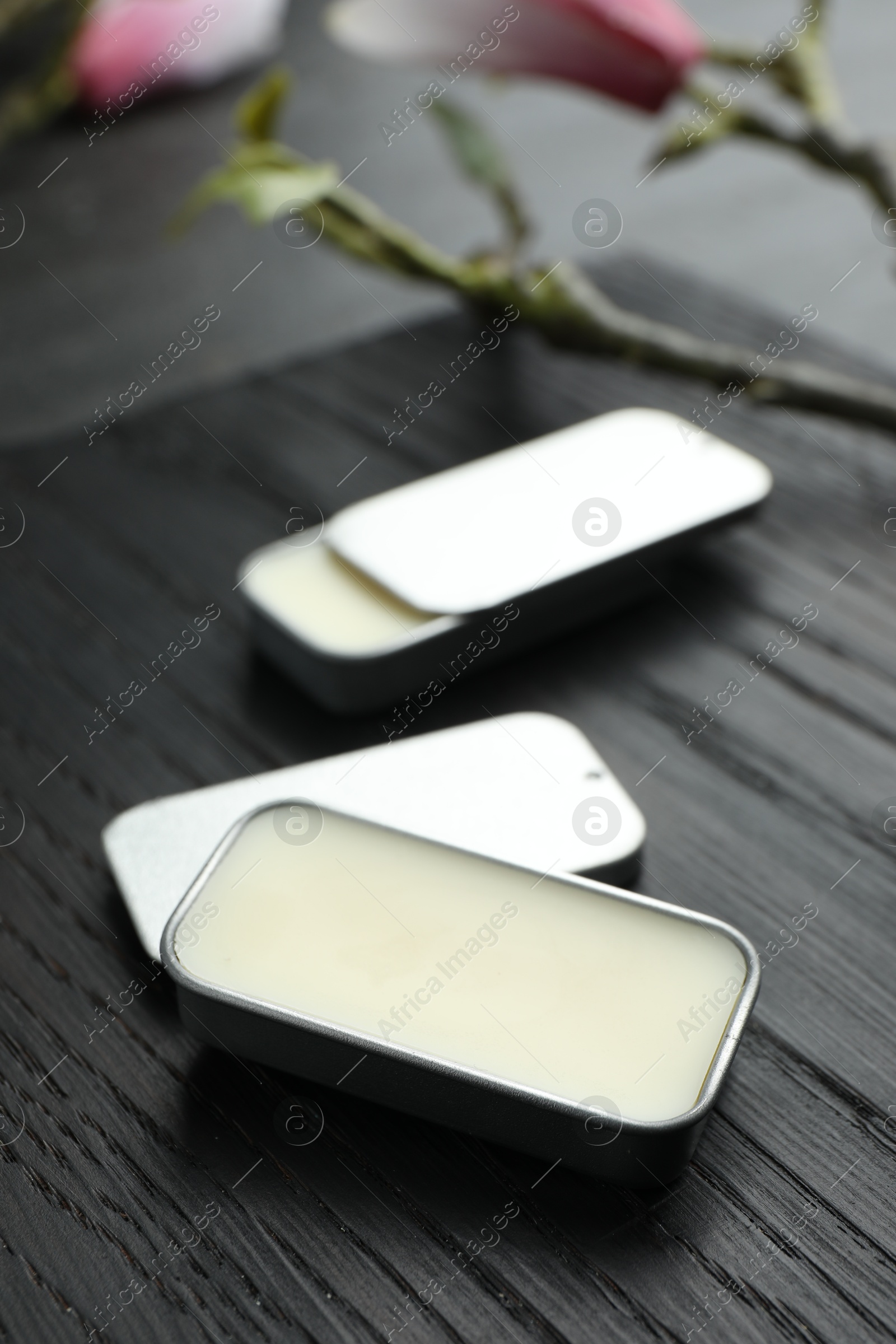 Photo of Natural solid perfume and branch on black wooden table, closeup