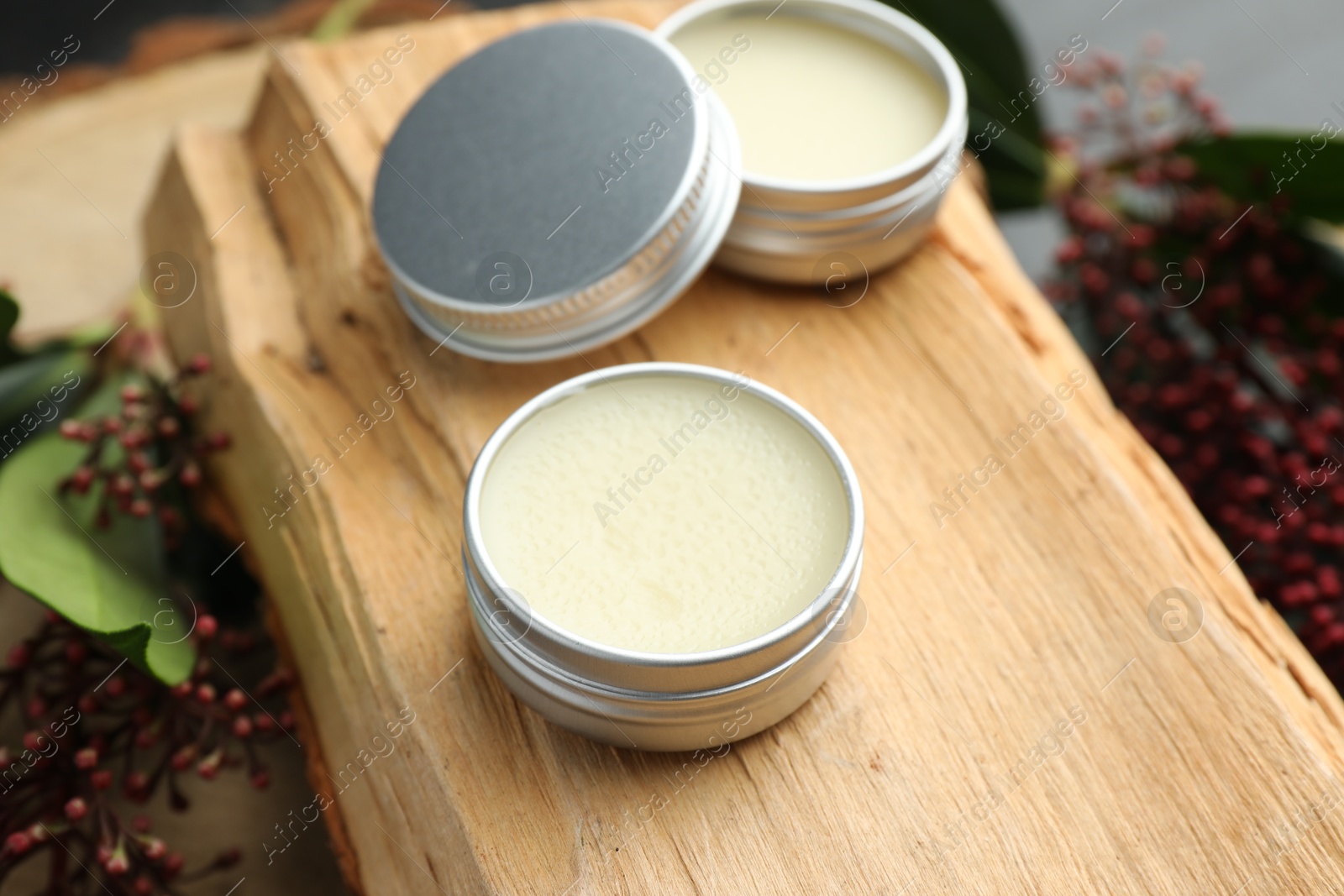 Photo of Natural solid perfume and skimmia plant on wood