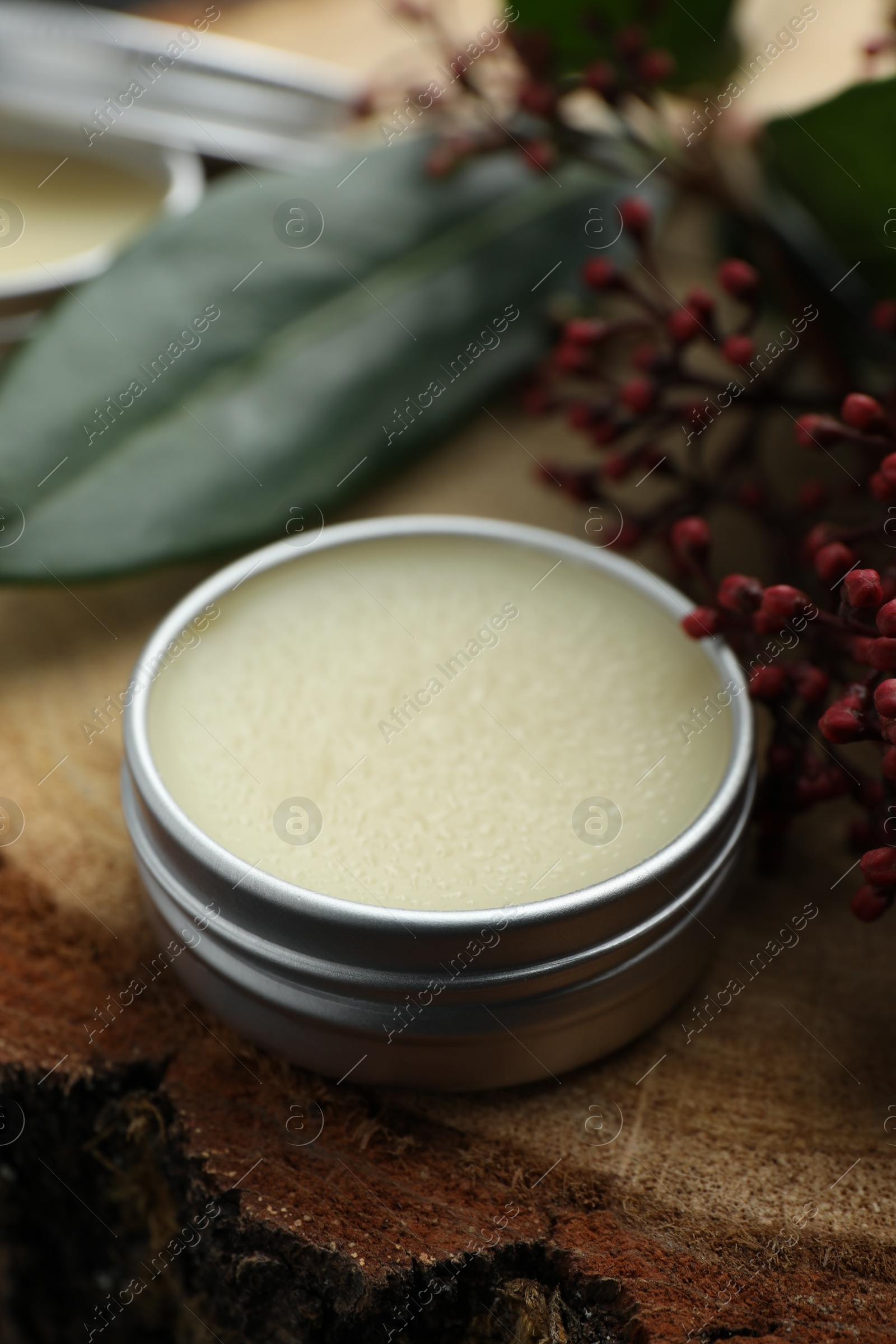 Photo of Natural solid perfume and skimmia plant on wood, closeup