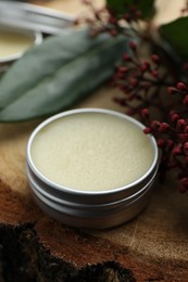 Photo of Natural solid perfume and skimmia plant on wood, closeup