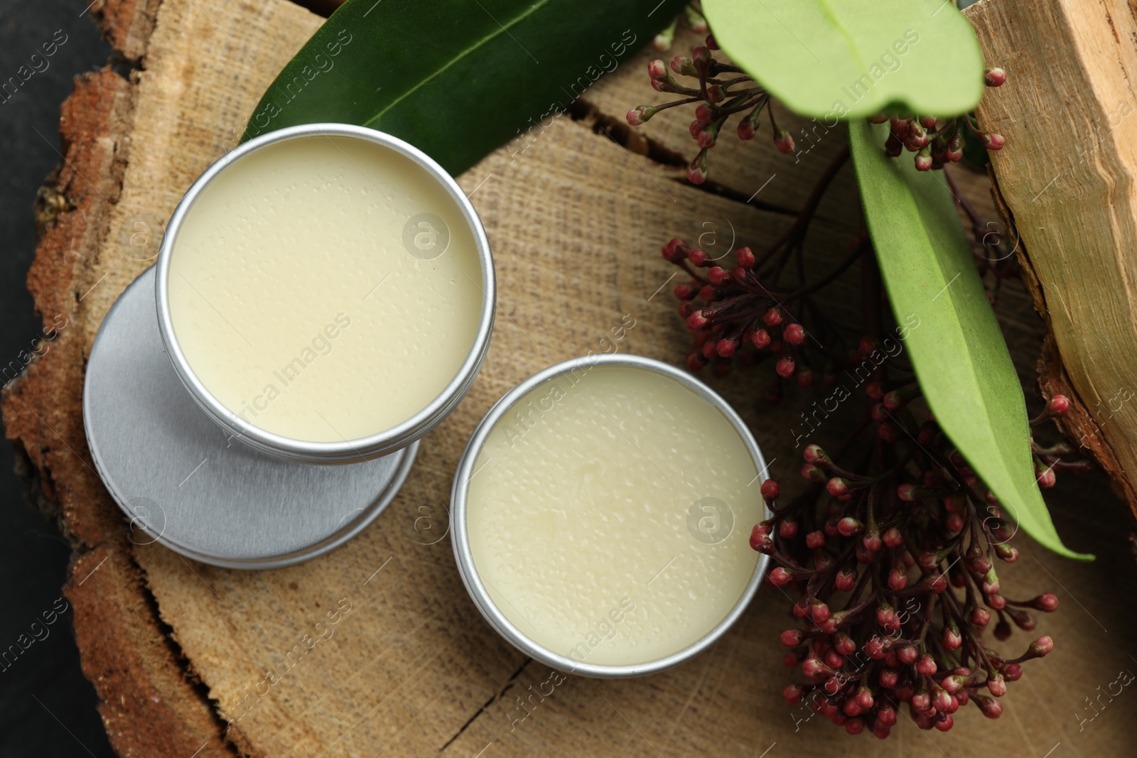 Photo of Natural solid perfume and skimmia plant on wood, top view