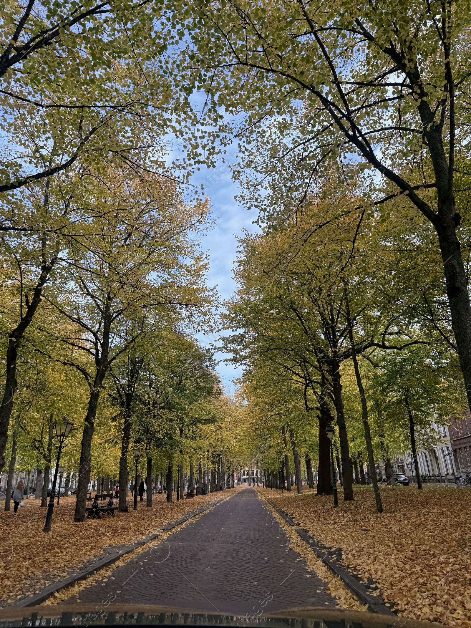 Photo of Beautiful alley with colorful trees and pathway in autumn park, view through car windshield