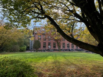 Photo of Beautiful tree and parked bicycles near building on autumn day