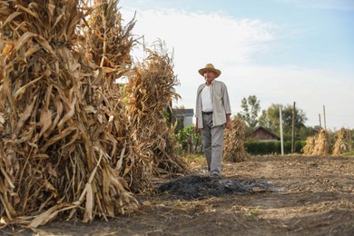 Photo of Senior man near piles of hay outdoors