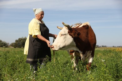 Photo of Senior woman with beautiful cow on pasture