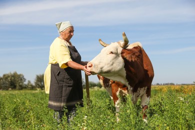 Photo of Senior woman with beautiful cow on pasture