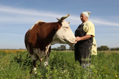 Photo of Senior woman with beautiful cow on pasture