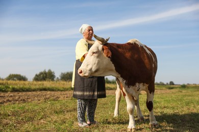 Photo of Senior woman with beautiful cow on pasture