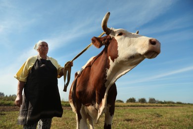 Photo of Senior woman with beautiful cow on pasture, low angle view