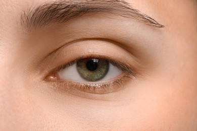 Photo of Macro view of young woman with beautiful eyes