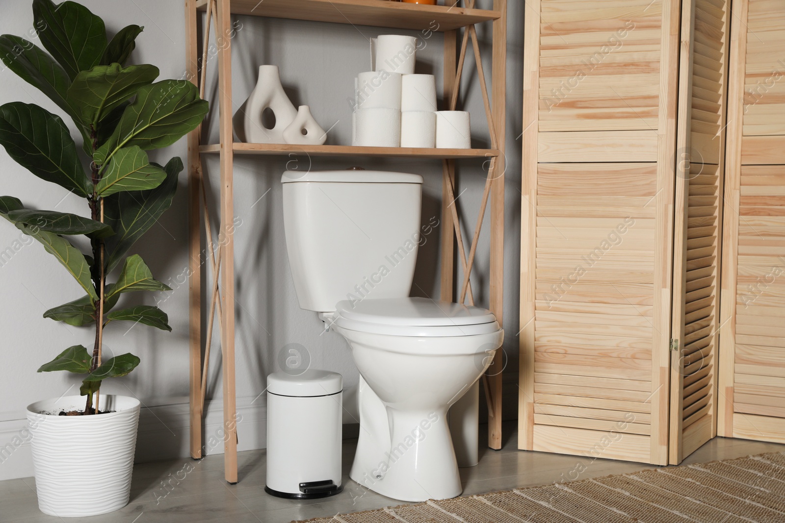 Photo of Folding screen, toilet bowl and houseplant in restroom