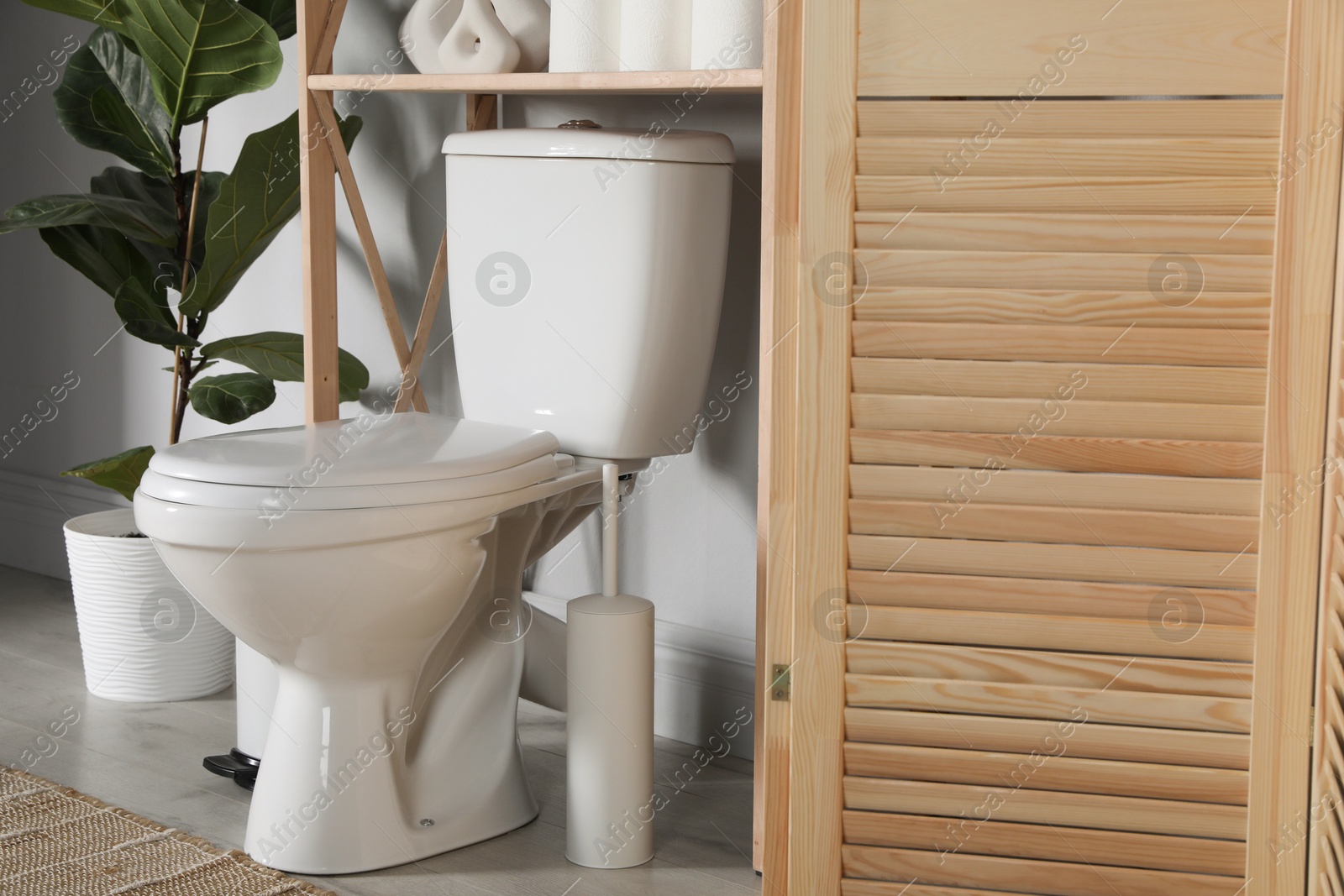 Photo of Folding screen, toilet bowl and houseplant in restroom