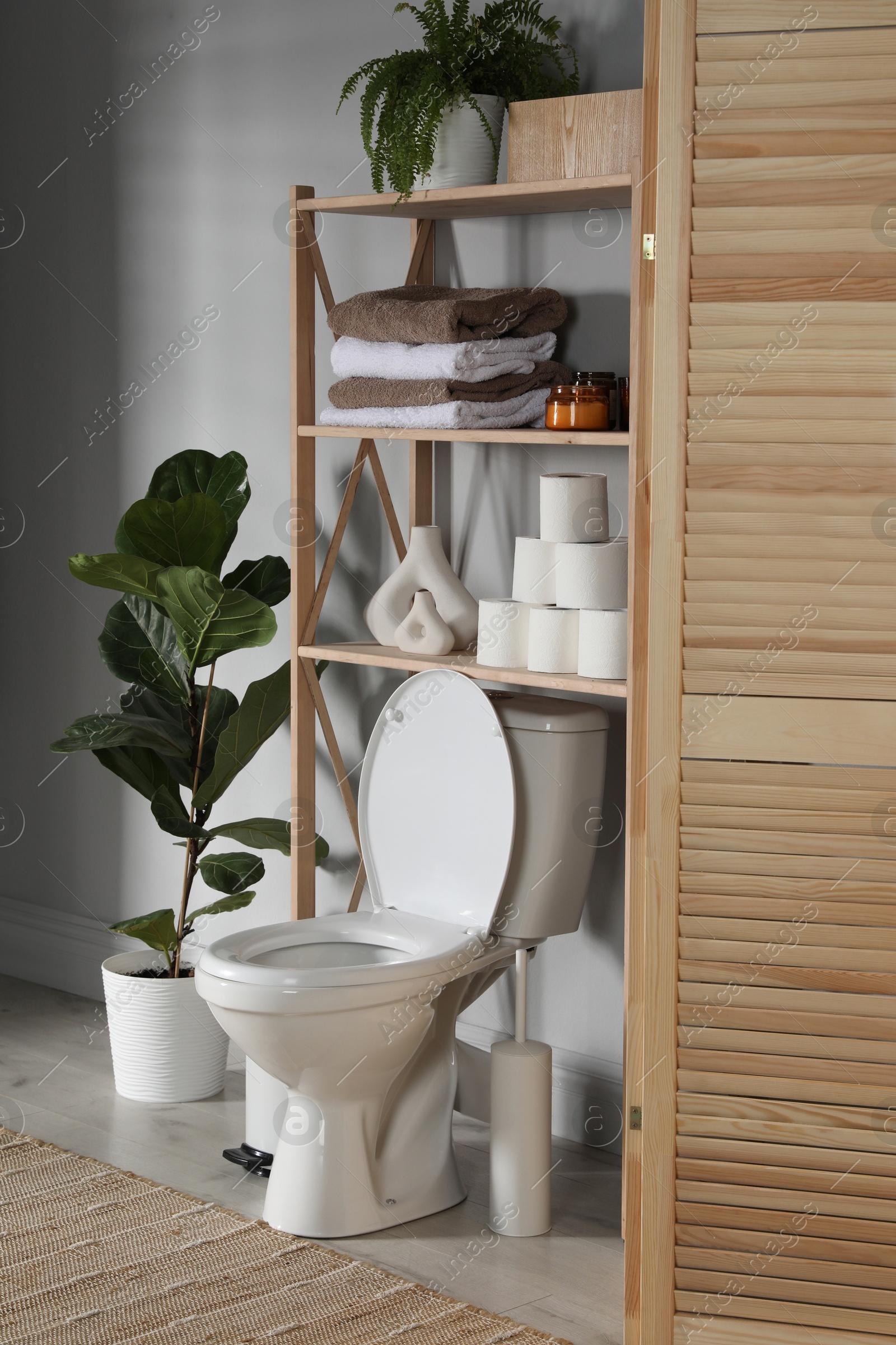 Photo of Folding screen, toilet bowl and houseplants in restroom