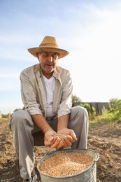 Photo of Senior man holding ripe wheat grains outdoors