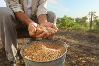 Photo of Senior man holding ripe wheat grains outdoors, closeup