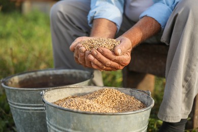 Photo of Senior man holding ripe wheat grains outdoors, closeup