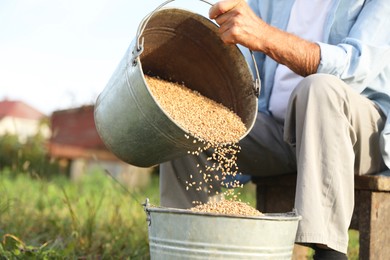 Photo of Senior man pouring wheat grains into bucket outdoors, closeup