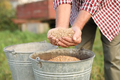 Photo of Senior man with buckets of ripe wheat grains outdoors, closeup