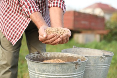 Photo of Senior man with buckets of ripe wheat grains outdoors, closeup