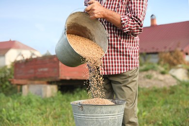 Photo of Senior man pouring wheat grains into bucket outdoors, closeup