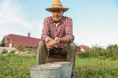 Photo of Senior man holding ripe wheat grains outdoors