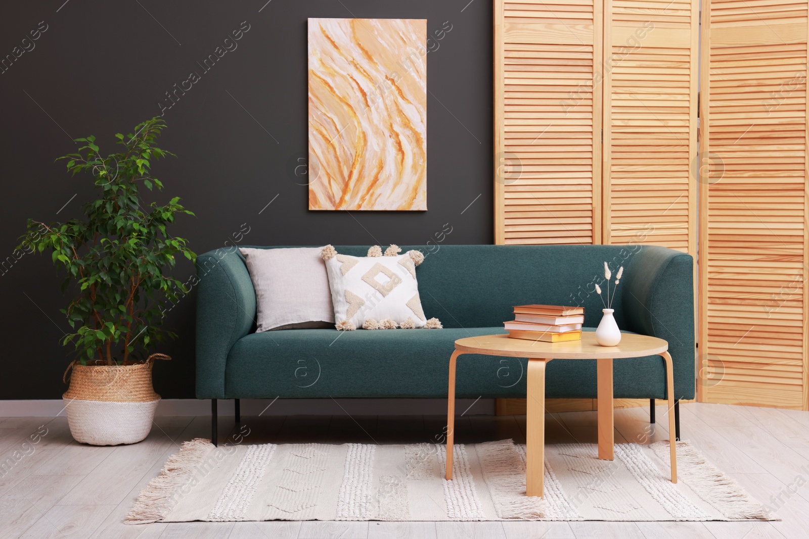 Photo of Soft sofa, houseplant and coffee table near black wall in stylish living room