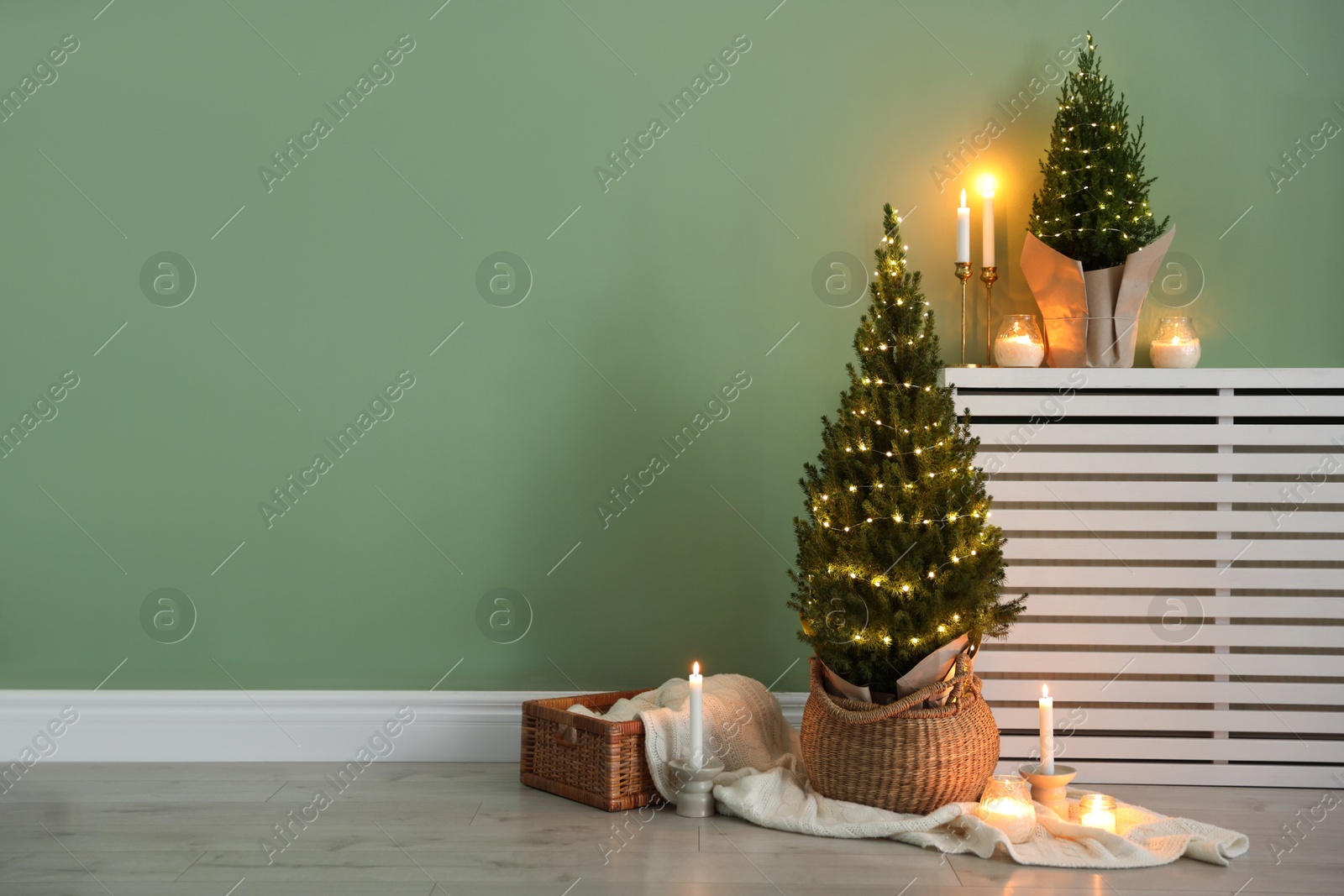 Photo of Small spruce trees with Christmas lights and other decor near green wall indoors, space for text