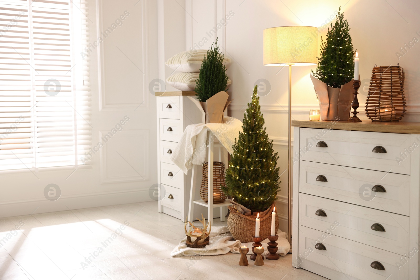 Photo of Small spruce trees with Christmas lights and other decor indoors