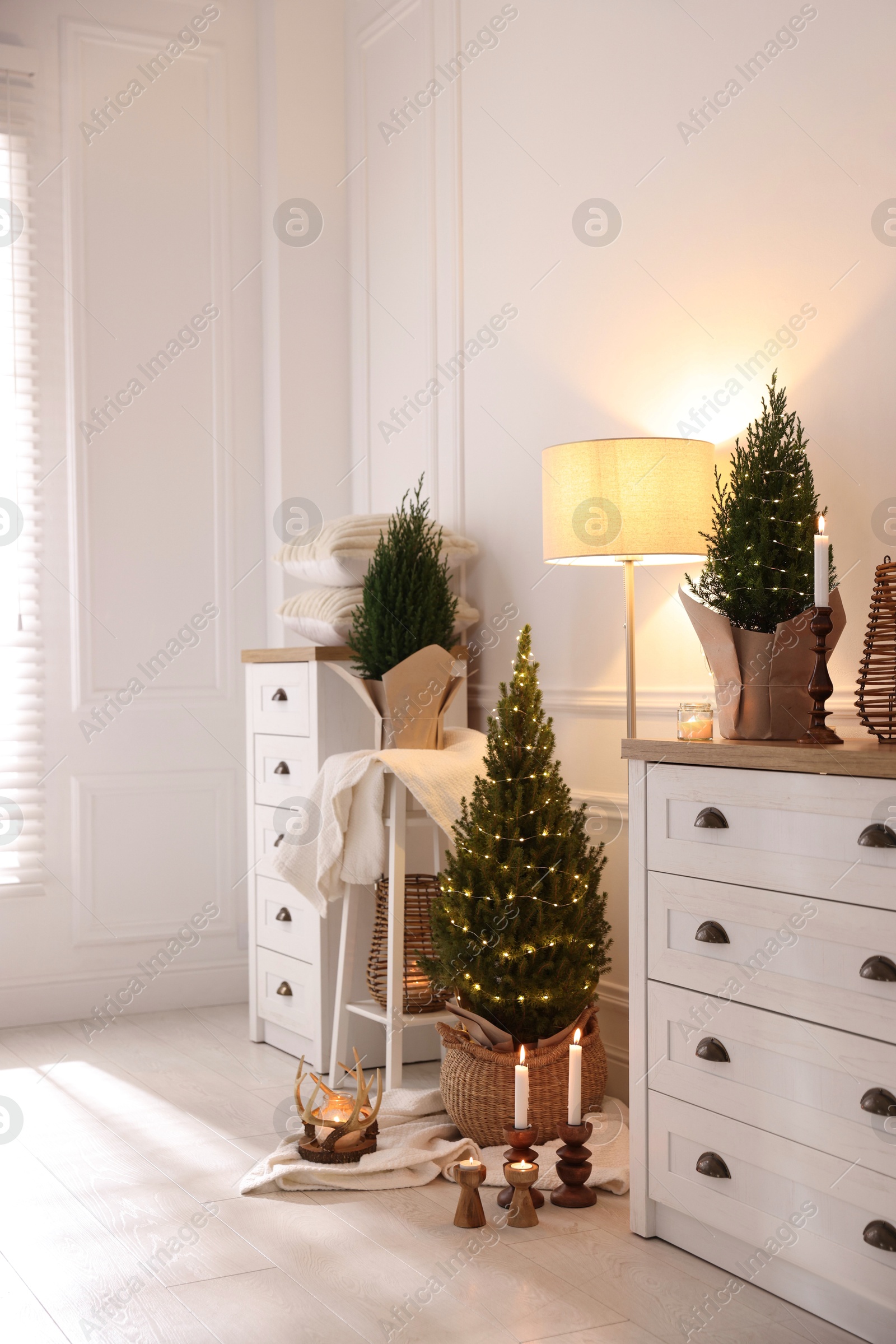 Photo of Small spruce trees with Christmas lights and other decor indoors