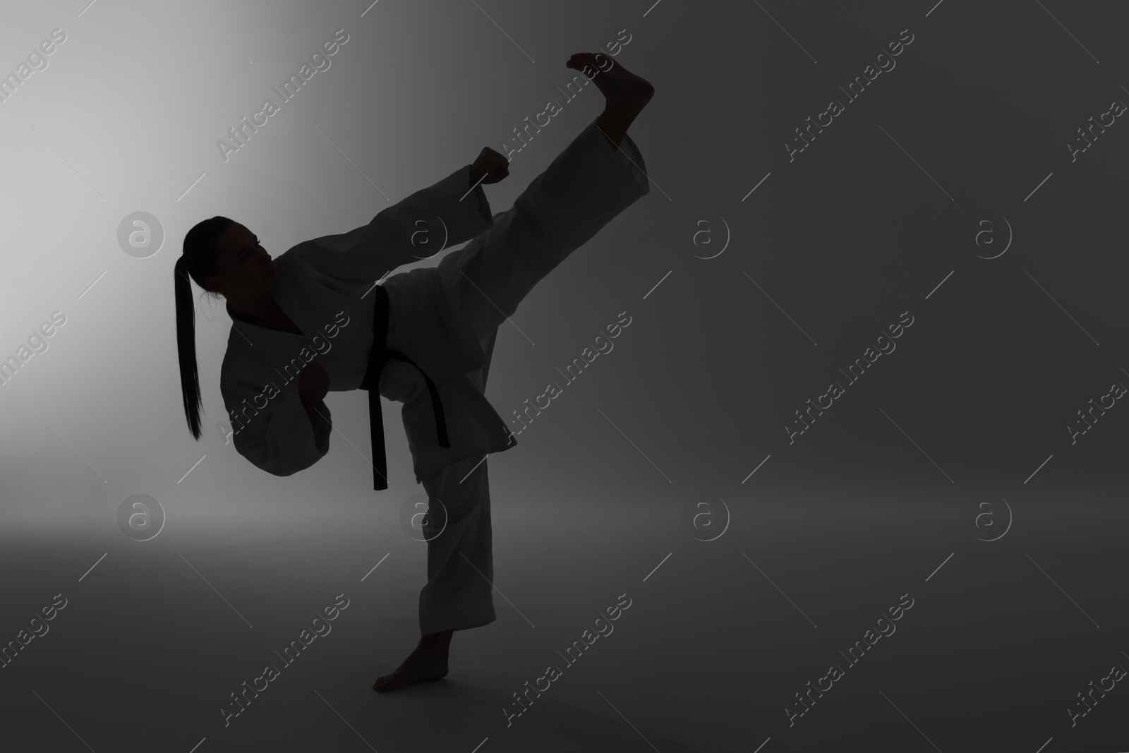 Photo of Silhouette of woman in kimono practicing karate on light background, space for text