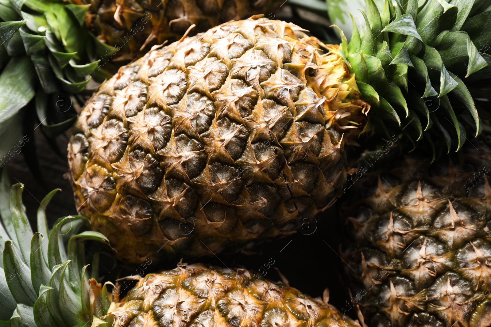 Photo of Fresh ripe pineapples as background, closeup view