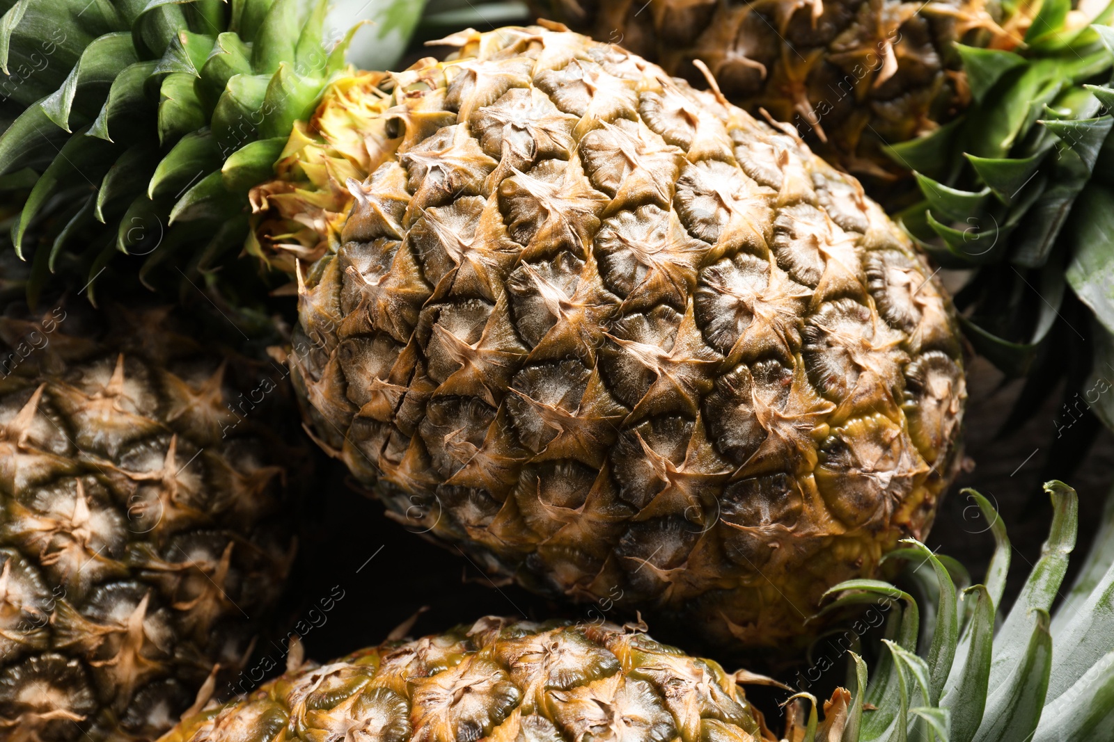 Photo of Fresh ripe pineapples as background, closeup view