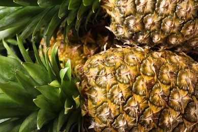 Photo of Fresh ripe pineapples as background, closeup view