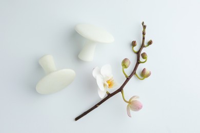 Spa stones and orchid branch on white background, flat lay