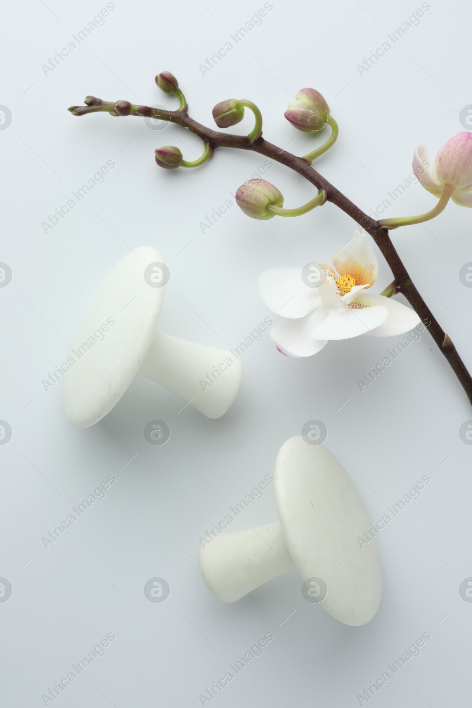 Photo of Spa stones and orchid branch on white background, flat lay